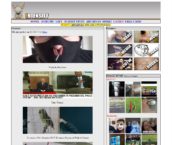 Entensity, Archived Sites