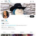 Noturhoneybb, Twitter Porn