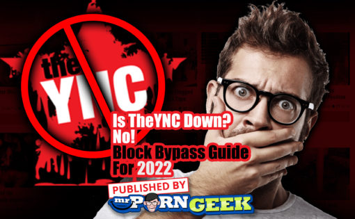 Is TheYNC Down? No! Block Bypass Guide For 2022 (TheYNC.com)