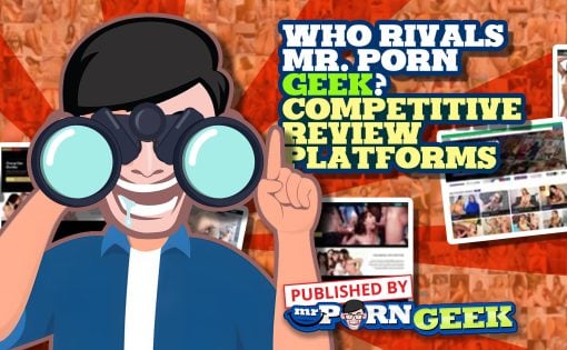 Checking Out Competitive Porn Review Platforms