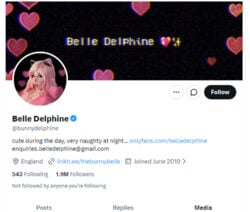 Belle Delphine, Twitter Porn