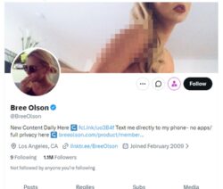 Breeolson, Twitter Porn