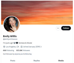 Emily Willis, Twitter Porn