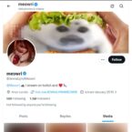 Jenna Lynn Meowri, Twitter Porn