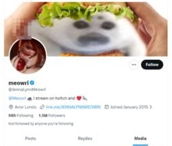 Jenna Lynn Meowri, Twitter Porn