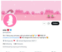 Miiyazuko, Twitter Porn