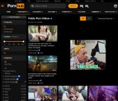 PornHub Public, Public