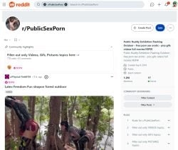 Redditpublicsexporn, Voyeur