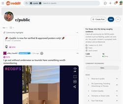 Reddit Public, Voyeur