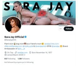 Sara Jay, Twitter Porn