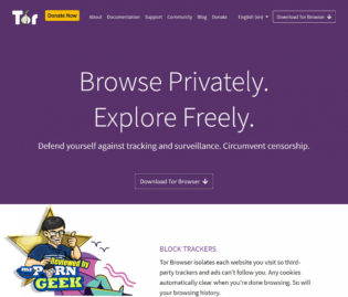 Порно тор браузер браузер тор для интернета скачать бесплатно hydra