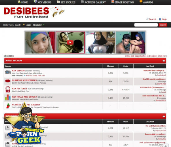 DesiBees: What DesiBees.com Brings To The Indian Porn Table