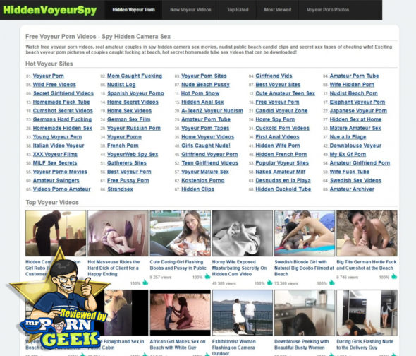 original voyeur web home page