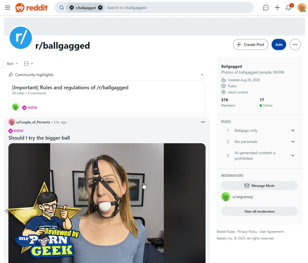 RedditBallgagged