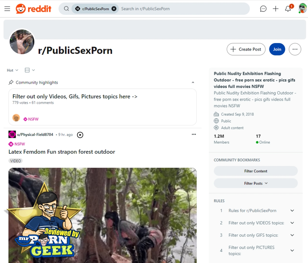 RedditPublicSexPorn
