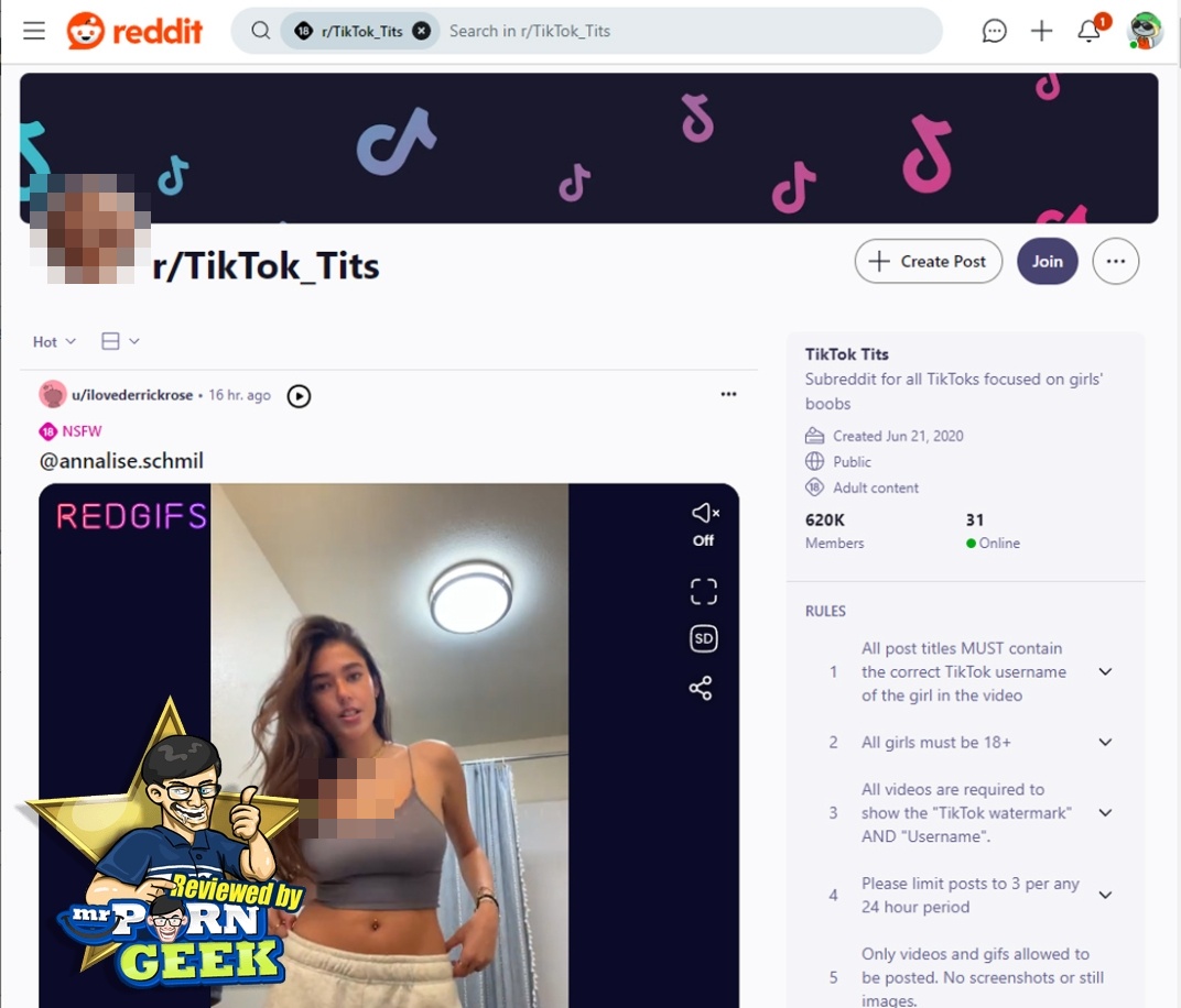 TikTok_Tits