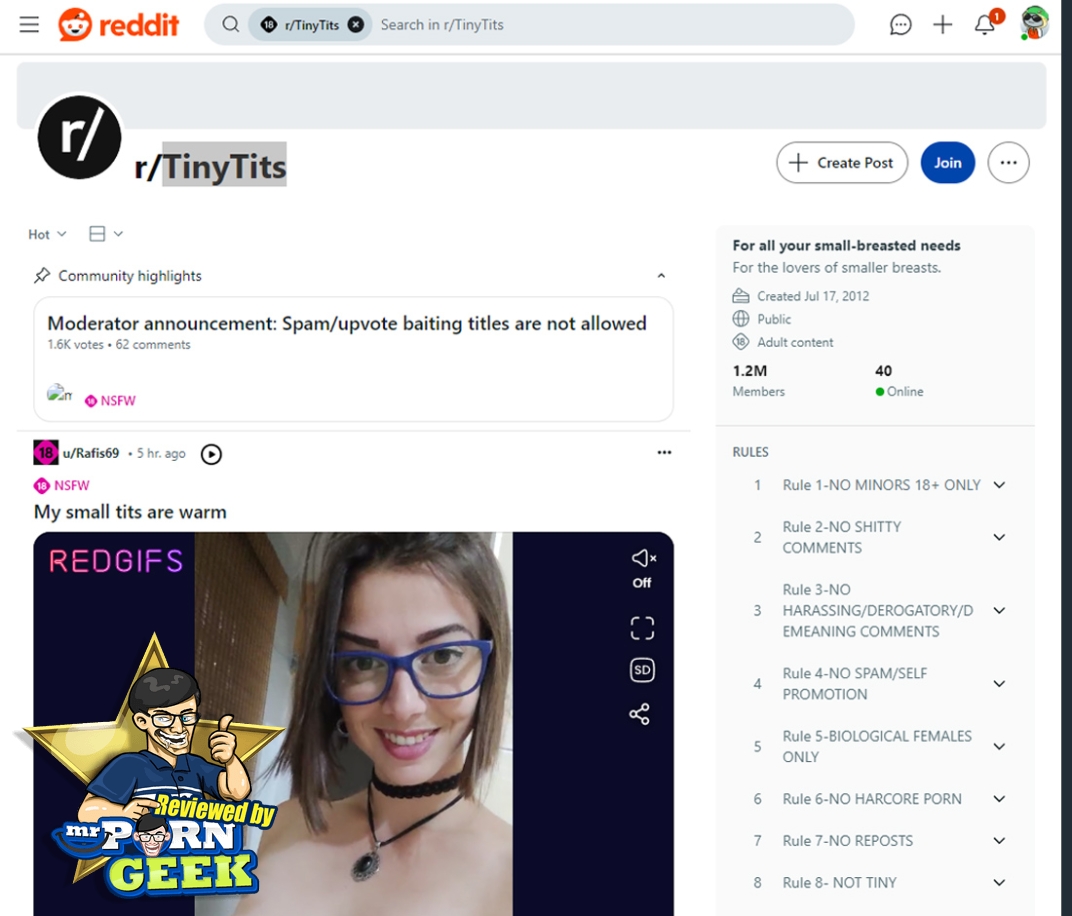 RedditTinyTits