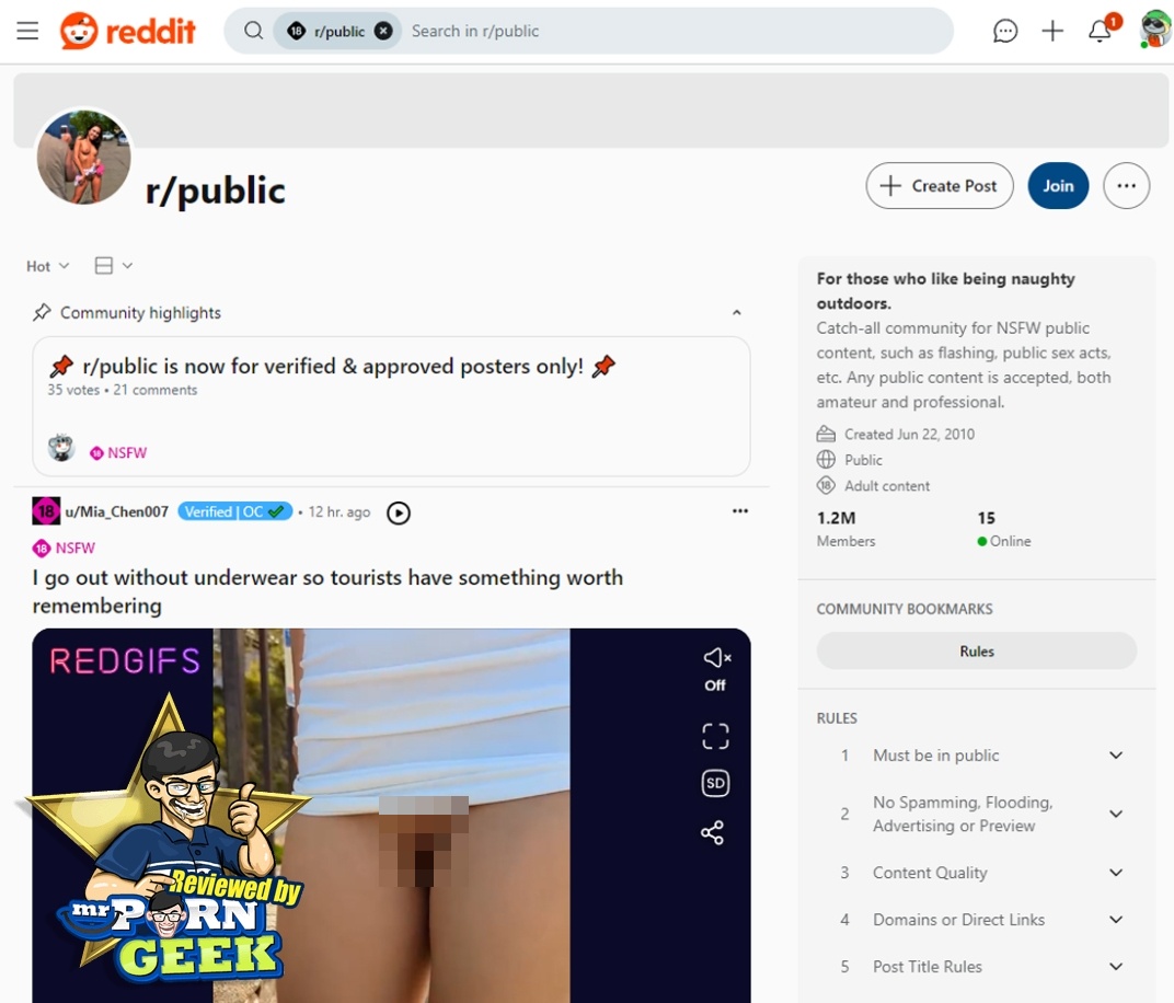 Reddit Public