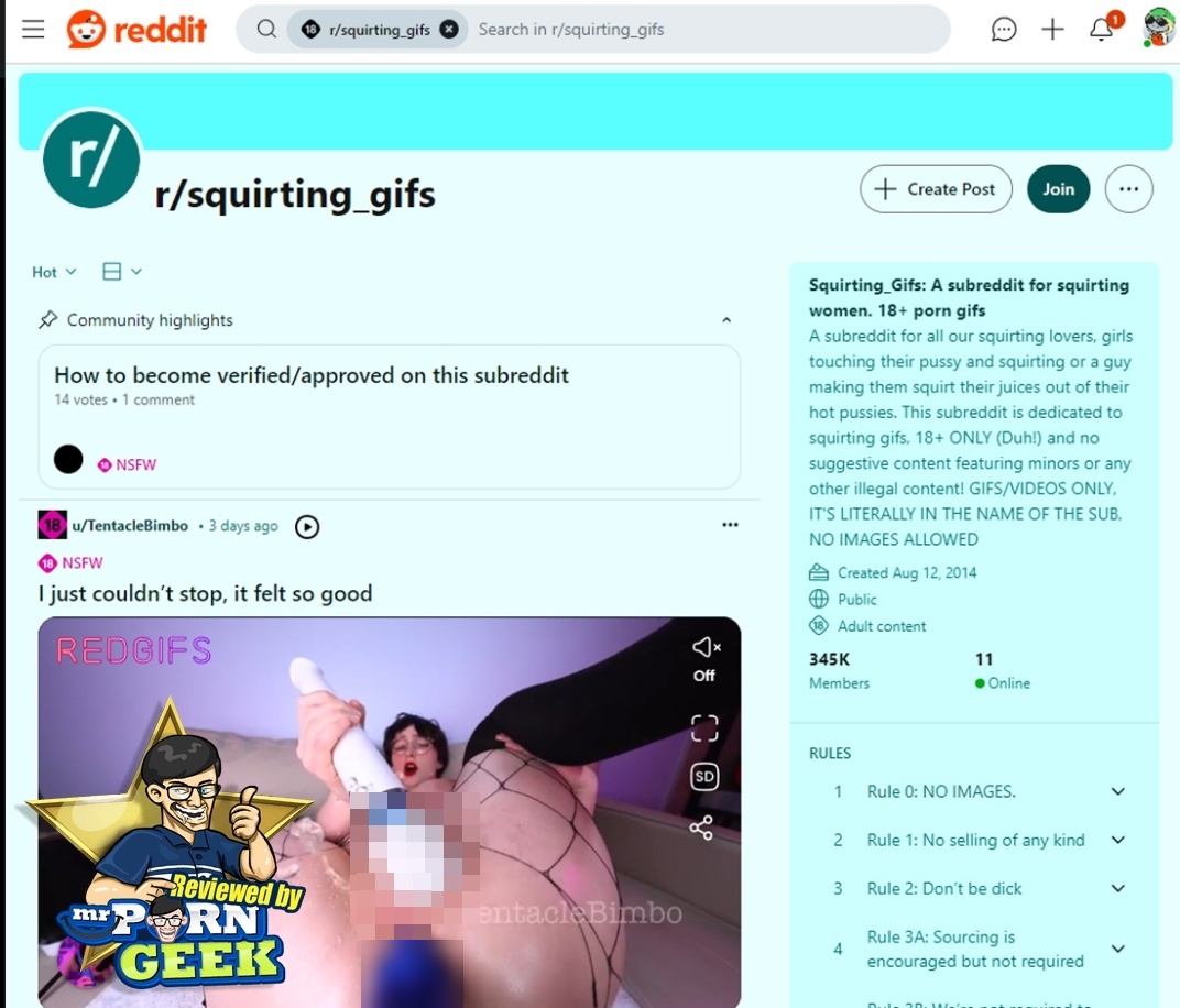 RedditSquirting_Gifs