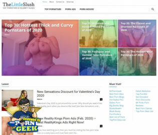 Thelittleslush & 14+ Porn Blogs Like Thelittleslush.com