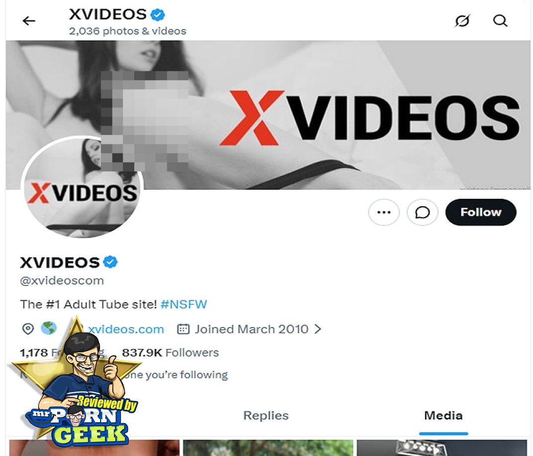 XVideos Twitter
