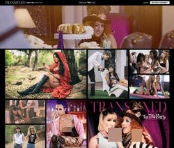 Transfixed, Transgender