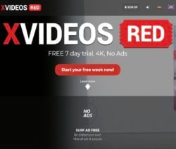 xVideos/Red