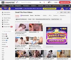 Xhamster Small Tits, Small Tits