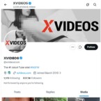 XVideos Twitter, Twitter Porn